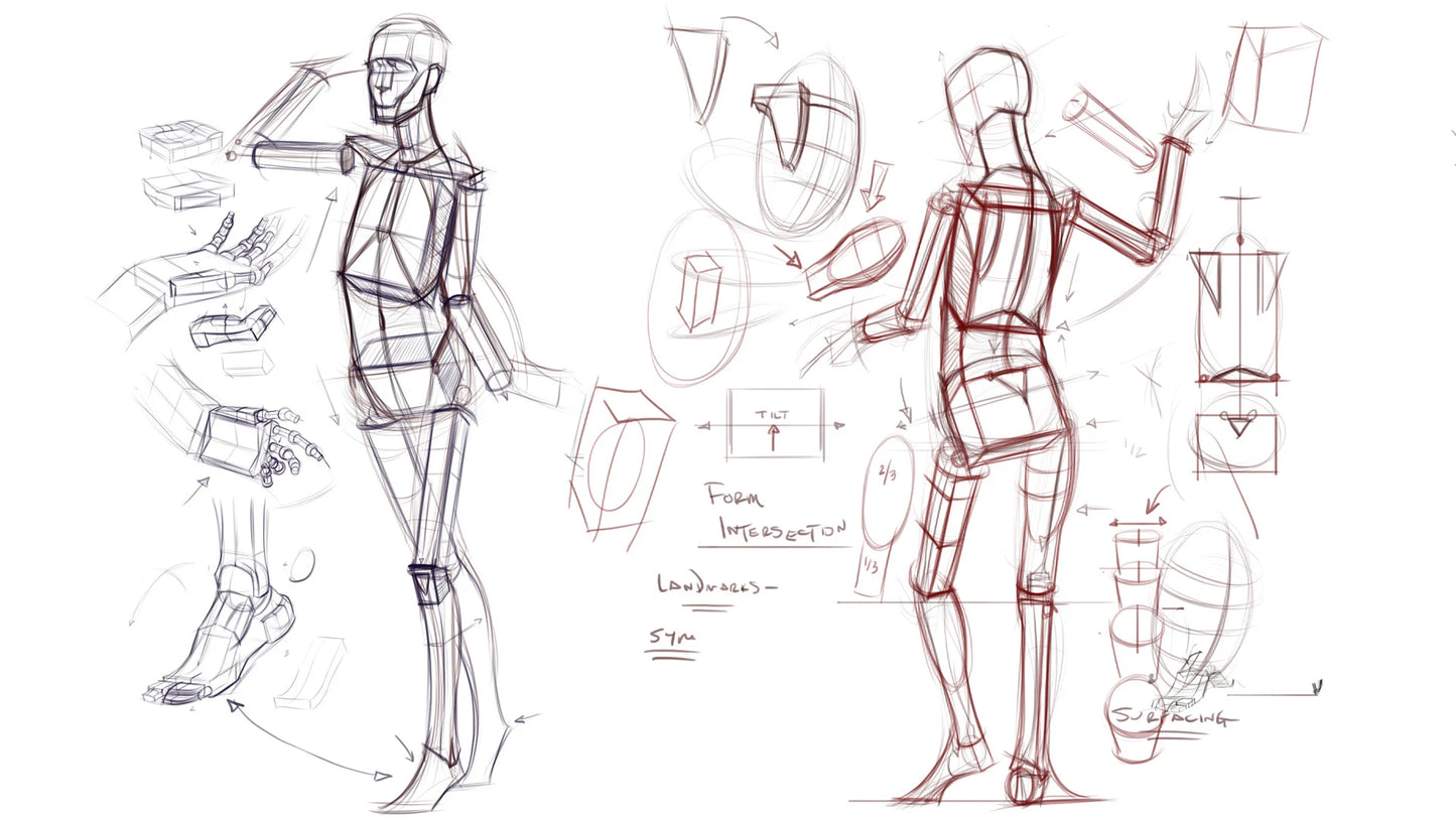 Figure Drawing Brushes