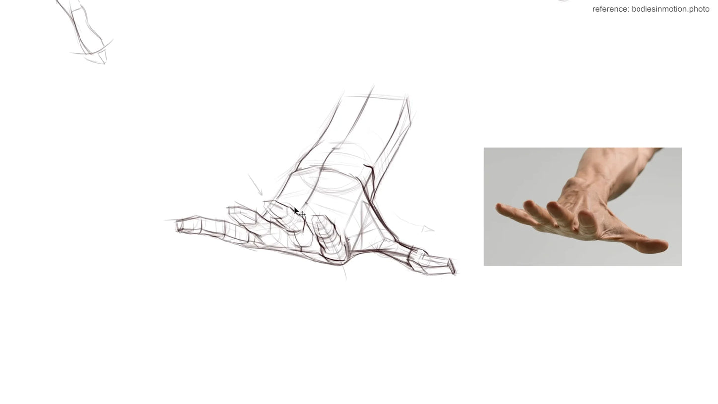 Figure Drawing Brushes