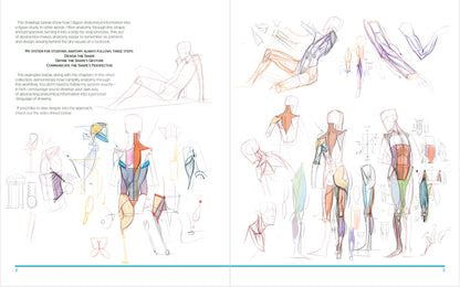 A Collection of Lessons on Structure and Form: Free PDF